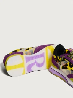 PURPLE LADY^HOFF New
