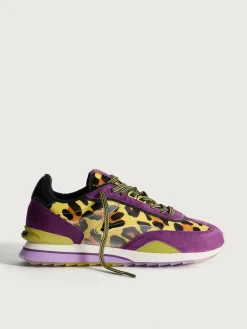PURPLE LADY^HOFF New