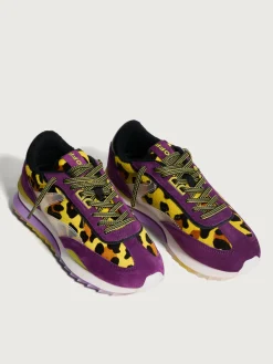 PURPLE LADY^HOFF New